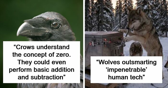 “Here To Explain Everything”: 92 Facts And Stories You Might Not Have Heard Of Before