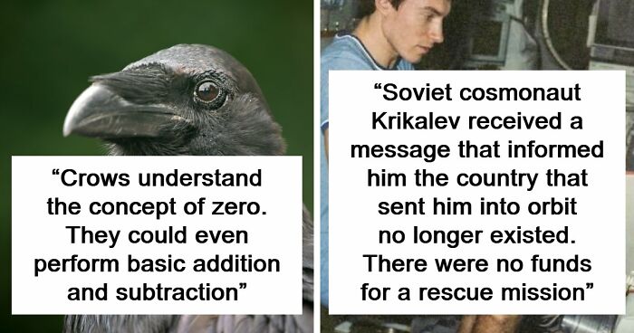 “Here To Explain Everything”: 92 Facts And Stories You Might Not Have Heard Of Before