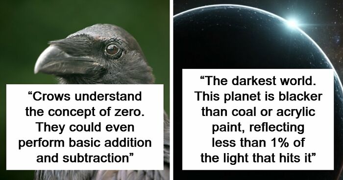 “Here To Explain Everything”: 92 Facts And Stories You Might Not Have Heard Of Before