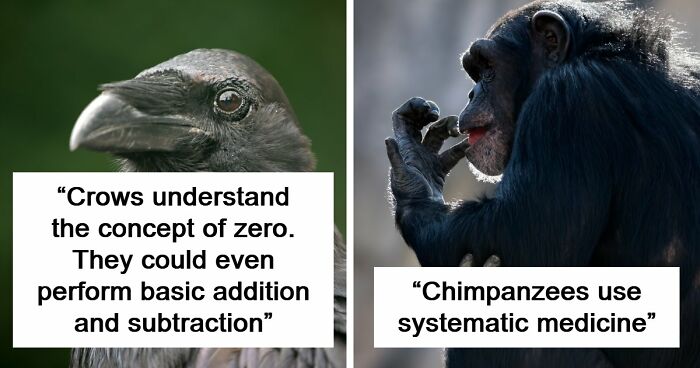 “Here To Explain Everything”: 92 Facts And Stories You Might Not Have Heard Of Before