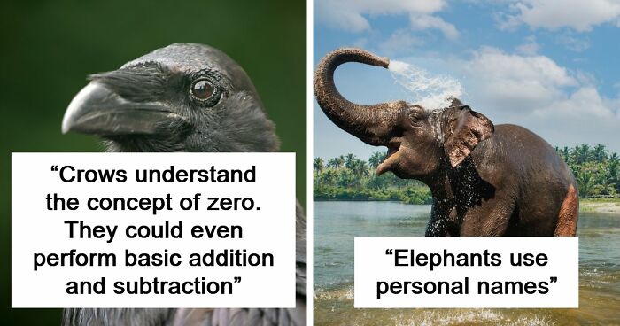 “Here To Explain Everything”: 92 Facts And Stories You Might Not Have Heard Of Before