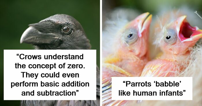 “Here To Explain Everything”: 92 Facts And Stories You Might Not Have Heard Of Before