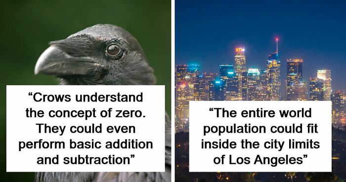 “Here To Explain Everything”: 92 Facts And Stories You Might Not Have Heard Of Before