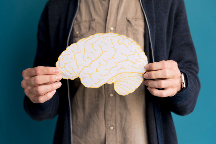 Person holding paper cutout of a brain representing brain facts