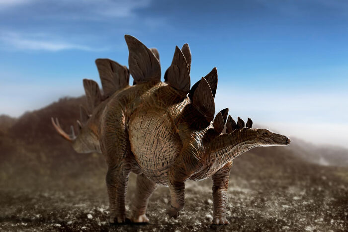 Stegosaurus dinosaur model outdoors with spiked tail and plates