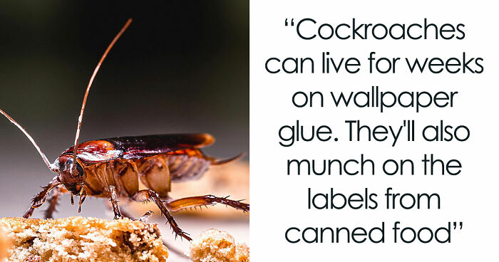 36 Randomly Specific Facts People Have Stored In Their Brains For Absolutely No Practical Reason