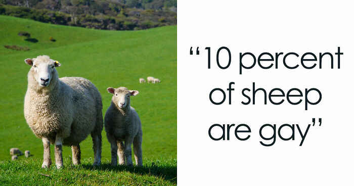 36 Randomly Specific Facts People Have Stored In Their Brains For Absolutely No Practical Reason