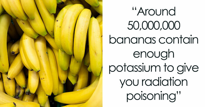 36 Randomly Specific Facts People Have Stored In Their Brains For Absolutely No Practical Reason