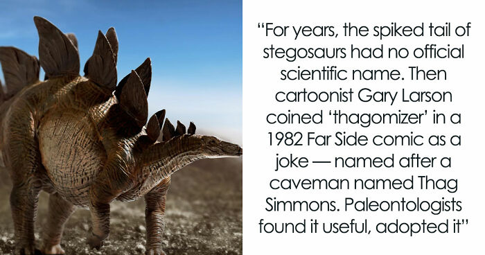 36 Randomly Specific Facts People Have Stored In Their Brains For Absolutely No Practical Reason