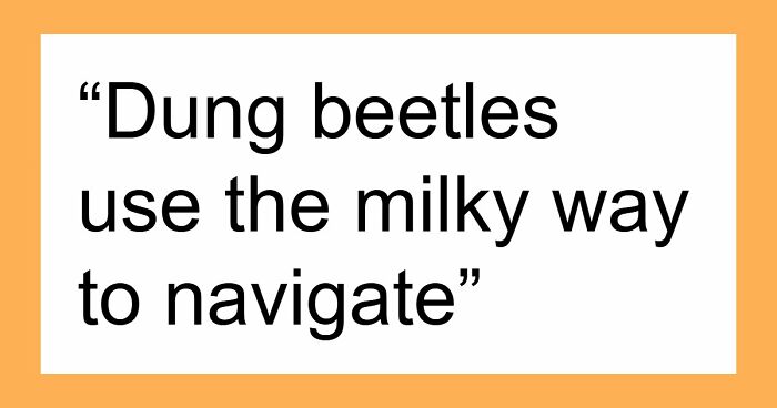 36 Randomly Specific Facts People Have Stored In Their Brains For Absolutely No Practical Reason