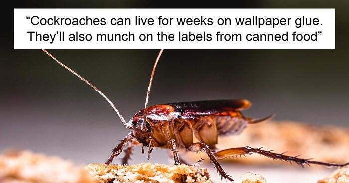 36 Randomly Specific Facts People Have Stored In Their Brains For Absolutely No Practical Reason