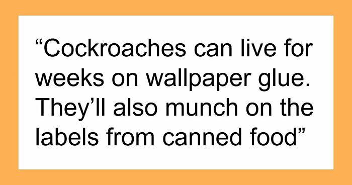 36 Randomly Specific Facts People Have Stored In Their Brains For Absolutely No Practical Reason