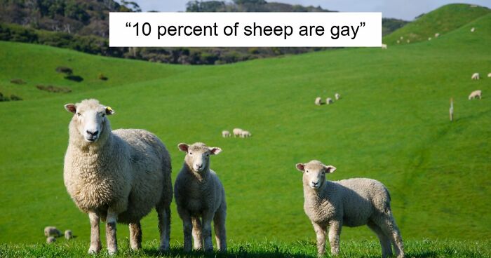 36 Randomly Specific Facts People Have Stored In Their Brains For Absolutely No Practical Reason