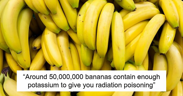 36 Randomly Specific Facts People Have Stored In Their Brains For Absolutely No Practical Reason