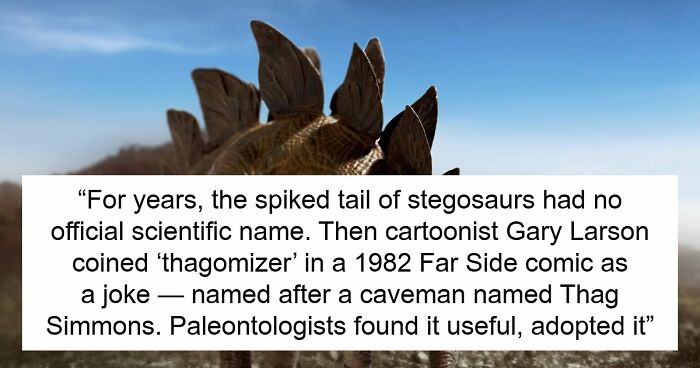 36 Randomly Specific Facts People Have Stored In Their Brains For Absolutely No Practical Reason