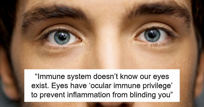 36 Randomly Specific Facts People Have Stored In Their Brains For Absolutely No Practical Reason