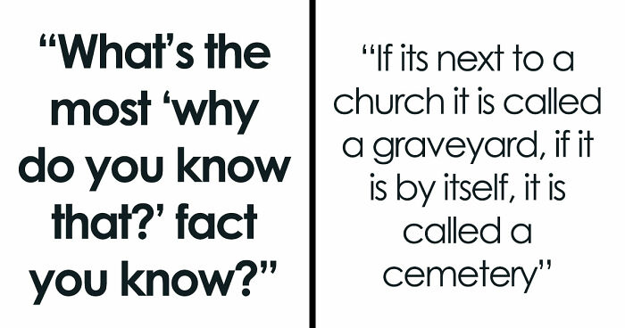 36 Randomly Specific Facts People Have Stored In Their Brains For Absolutely No Practical Reason