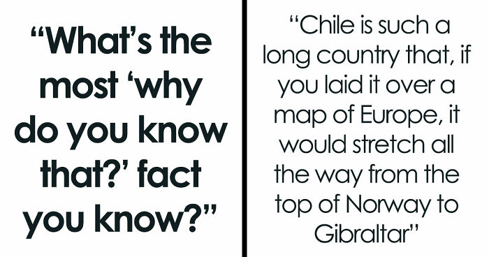 36 Randomly Specific Facts People Have Stored In Their Brains For Absolutely No Practical Reason