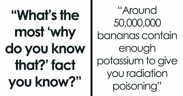 36 Randomly Specific Facts People Have Stored In Their Brains For Absolutely No Practical Reason