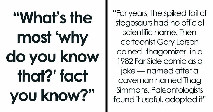 36 Randomly Specific Facts People Have Stored In Their Brains For Absolutely No Practical Reason