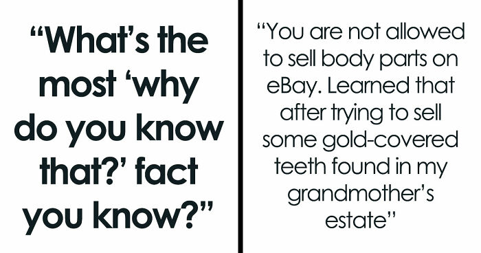 36 Randomly Specific Facts People Have Stored In Their Brains For Absolutely No Practical Reason