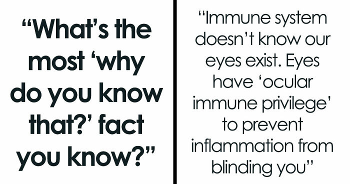 36 Randomly Specific Facts People Have Stored In Their Brains For Absolutely No Practical Reason