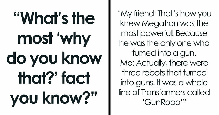 36 Randomly Specific Facts People Have Stored In Their Brains For Absolutely No Practical Reason