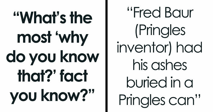36 Randomly Specific Facts People Have Stored In Their Brains For Absolutely No Practical Reason