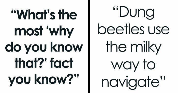 36 Randomly Specific Facts People Have Stored In Their Brains For Absolutely No Practical Reason