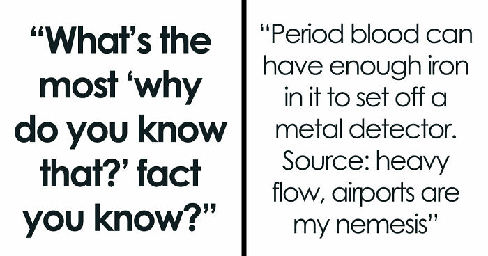 36 Randomly Specific Facts People Have Stored In Their Brains For Absolutely No Practical Reason