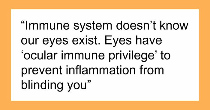 36 Randomly Specific Facts People Have Stored In Their Brains For Absolutely No Practical Reason
