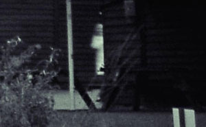 75 Terrifying Facts And Horror Stories That Kept People Awake At Night