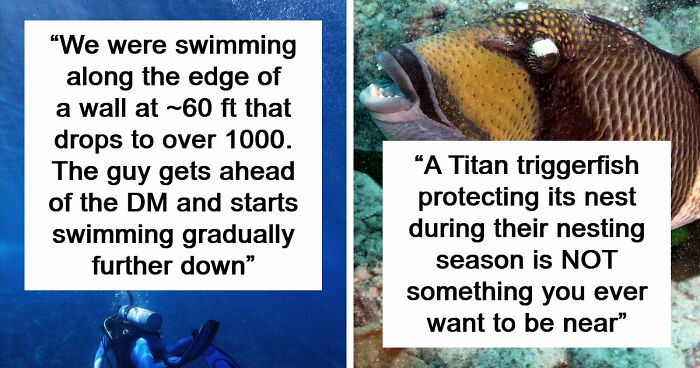 “The Grim Reaper”: 49 Diving Stories That Sound Like Scenes From A Horror Movie