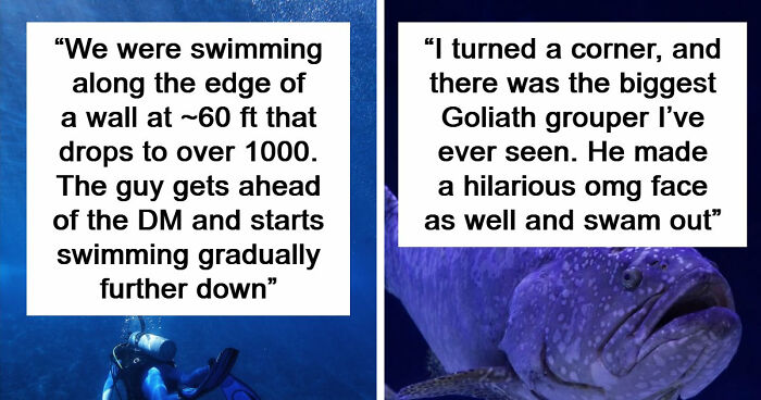 “The Grim Reaper”: 49 Diving Stories That Sound Like Scenes From A Horror Movie