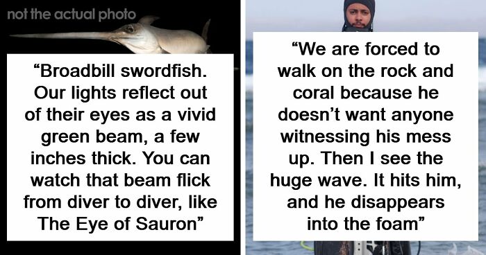 “The Grim Reaper”: 49 Diving Stories That Sound Like Scenes From A Horror Movie