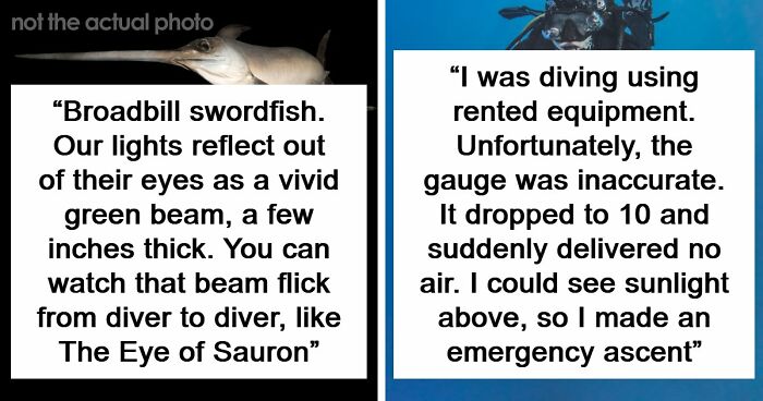 “The Grim Reaper”: 49 Diving Stories That Sound Like Scenes From A Horror Movie