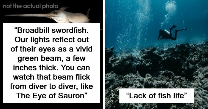 “The Grim Reaper”: 49 Diving Stories That Sound Like Scenes From A Horror Movie