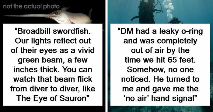 “The Grim Reaper”: 49 Diving Stories That Sound Like Scenes From A Horror Movie