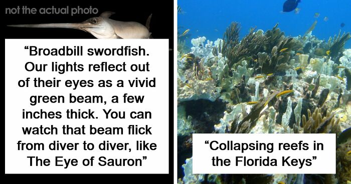“The Grim Reaper”: 49 Diving Stories That Sound Like Scenes From A Horror Movie