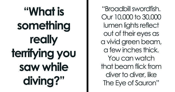 “The Grim Reaper”: 49 Diving Stories That Sound Like Scenes From A Horror Movie