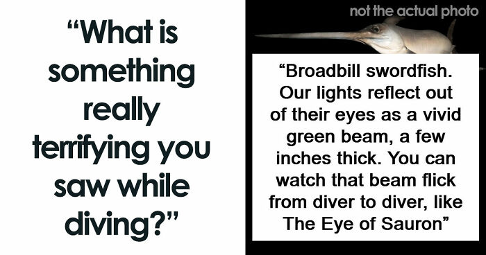 “The Grim Reaper”: 49 Diving Stories That Sound Like Scenes From A Horror Movie