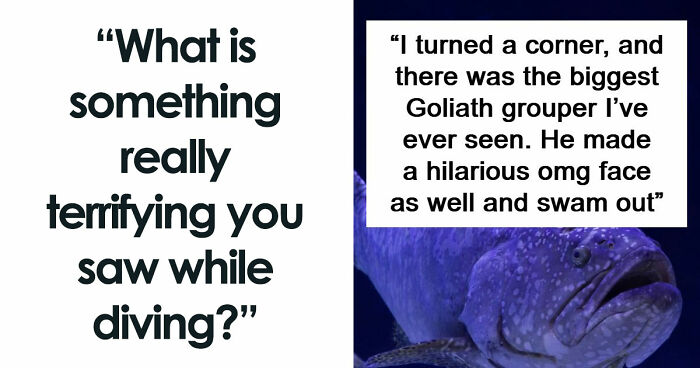 “The Grim Reaper”: 49 Diving Stories That Sound Like Scenes From A Horror Movie