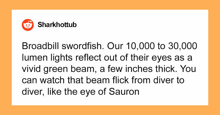 “The Grim Reaper”: 49 Diving Stories That Sound Like Scenes From A Horror Movie