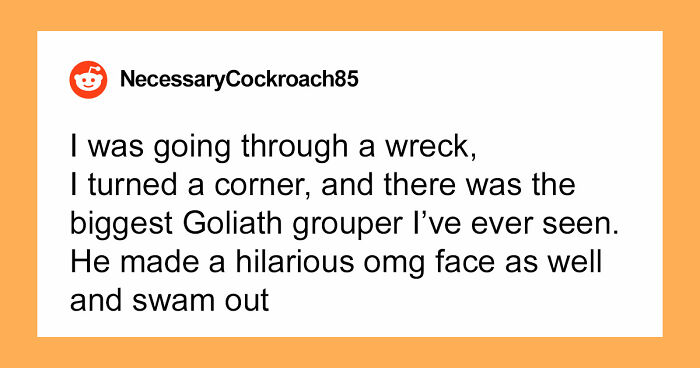 “The Grim Reaper”: 49 Diving Stories That Sound Like Scenes From A Horror Movie