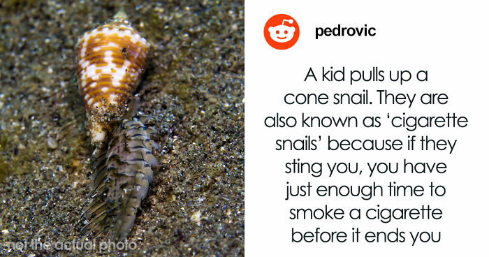 “The Grim Reaper”: 49 Diving Stories That Sound Like Scenes From A Horror Movie