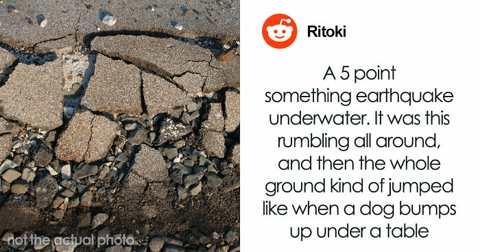 “The Grim Reaper”: 49 Diving Stories That Sound Like Scenes From A Horror Movie