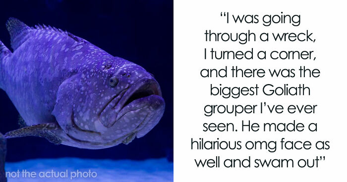“The Grim Reaper”: 49 Diving Stories That Sound Like Scenes From A Horror Movie
