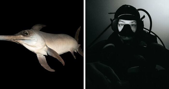 “The Grim Reaper”: 49 Diving Stories That Sound Like Scenes From A Horror Movie