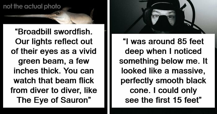 “The Grim Reaper”: 49 Diving Stories That Sound Like Scenes From A Horror Movie