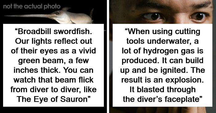 “The Grim Reaper”: 49 Diving Stories That Sound Like Scenes From A Horror Movie